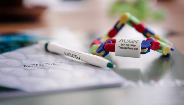 Align Team
