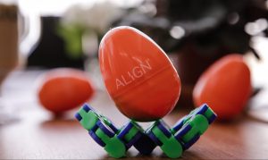 Align Team Consulting