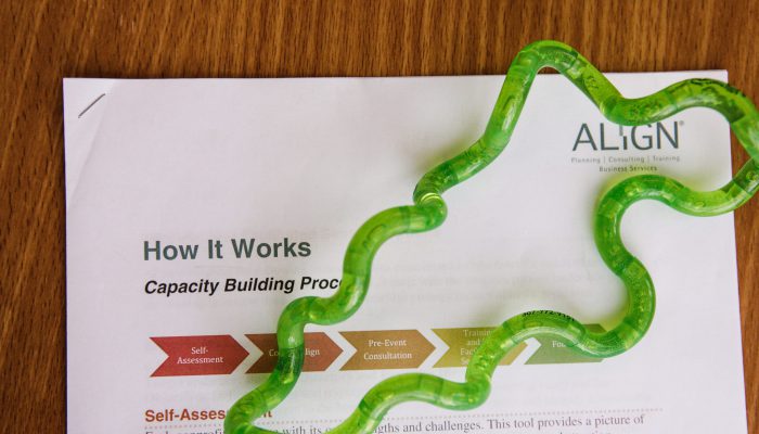 Align Team How It Works